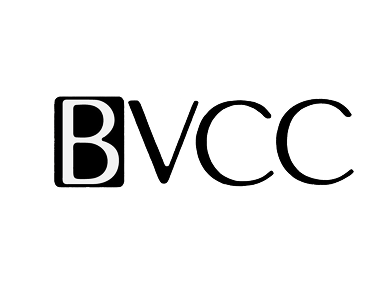 Black Venture Capital Consortium